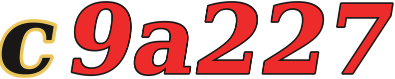 c9a227 logo
